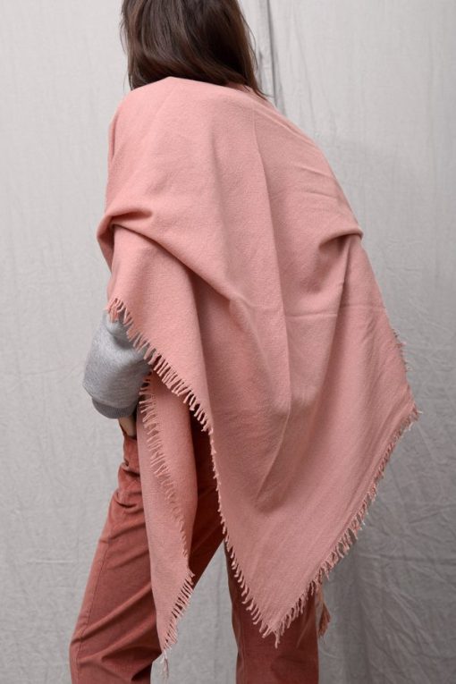 Nextship.shop6e0fb185d2 1